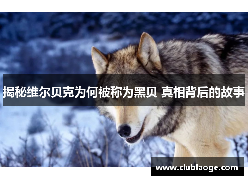 揭秘维尔贝克为何被称为黑贝 真相背后的故事 揭秘维尔贝克为何被称为黑贝 真相背后的故事