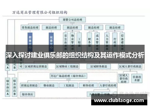 深入探讨建业俱乐部的组织结构及其运作模式分析 深入探讨建业俱乐部的组织结构及其运作模式分析