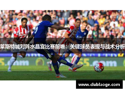 莱斯特城对阵水晶宫比赛前瞻:关键球员表现与战术分析 莱斯特城对阵水晶宫比赛前瞻:关键球员表现与战术分析