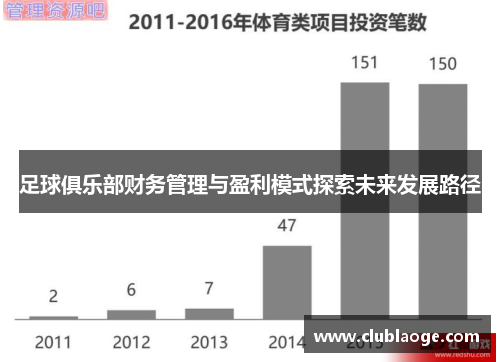 足球俱乐部财务管理与盈利模式探索未来发展路径 足球俱乐部财务管理与盈利模式探索未来发展路径